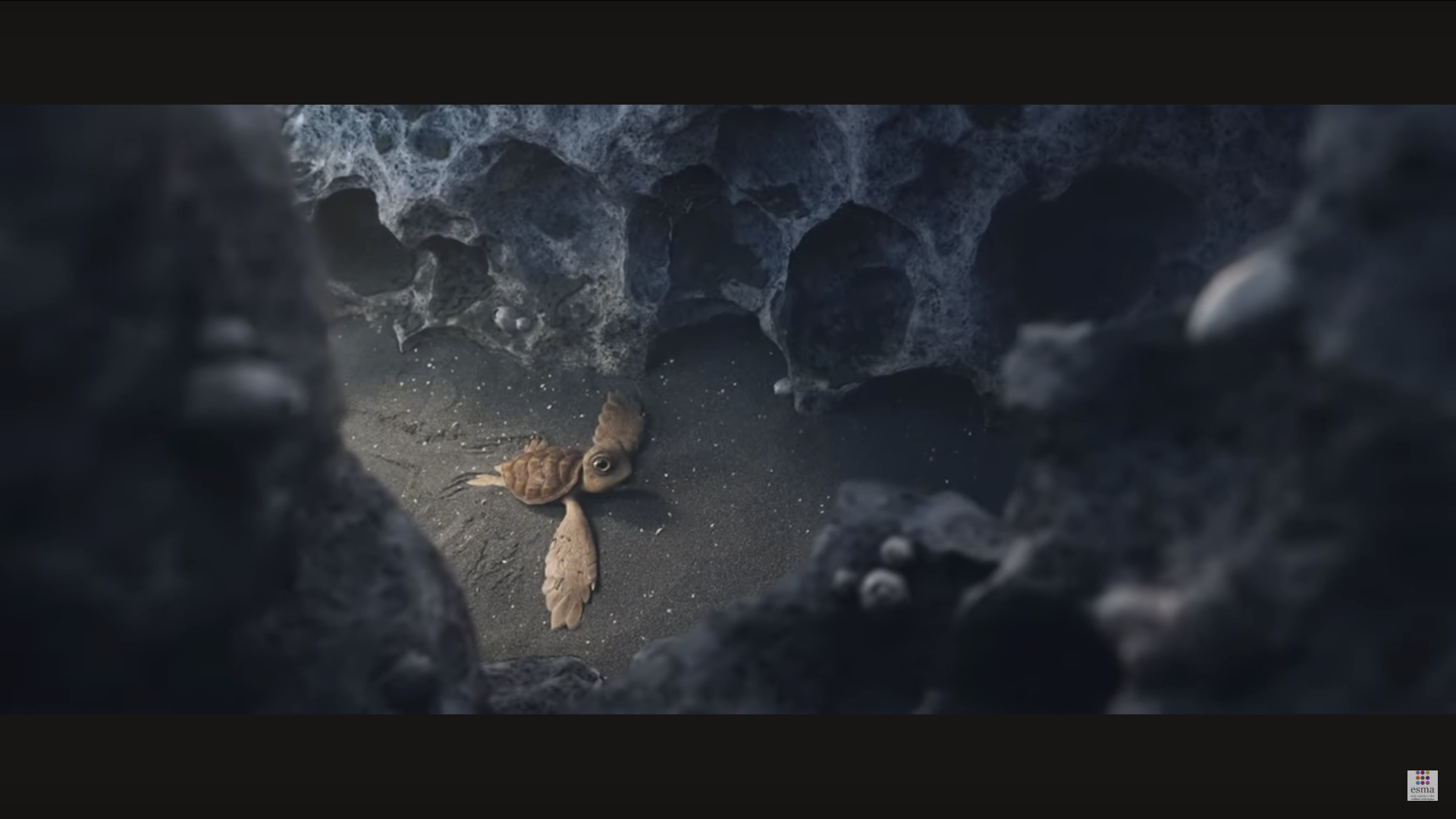 Capture d’écran 2025-09-17 à 18.39.35 (2)